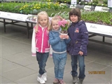 Thema VOORJAAR 