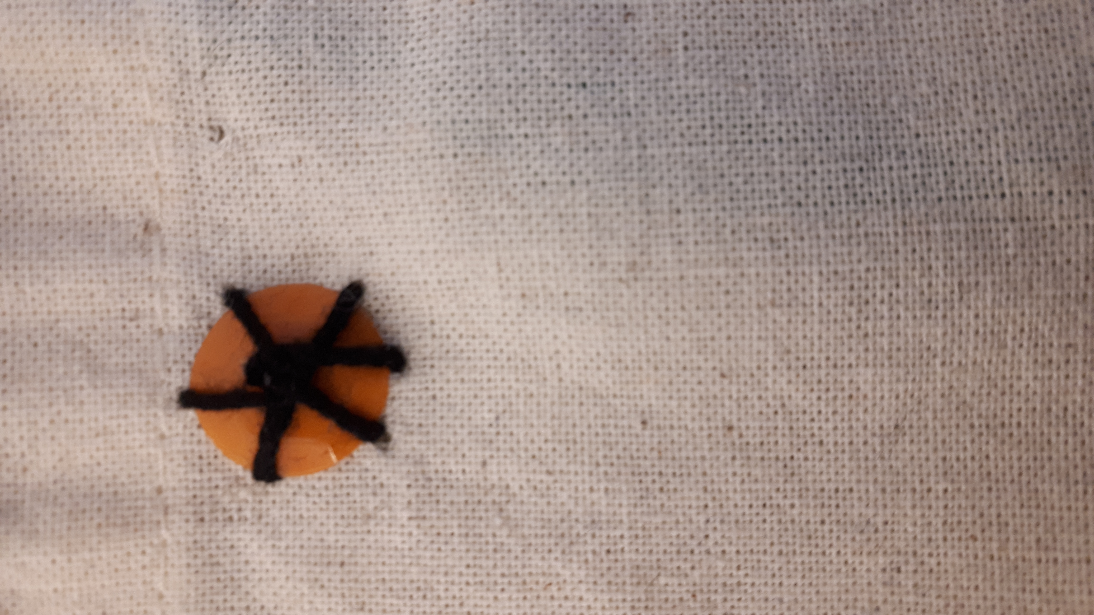 Creatief in het Atelier