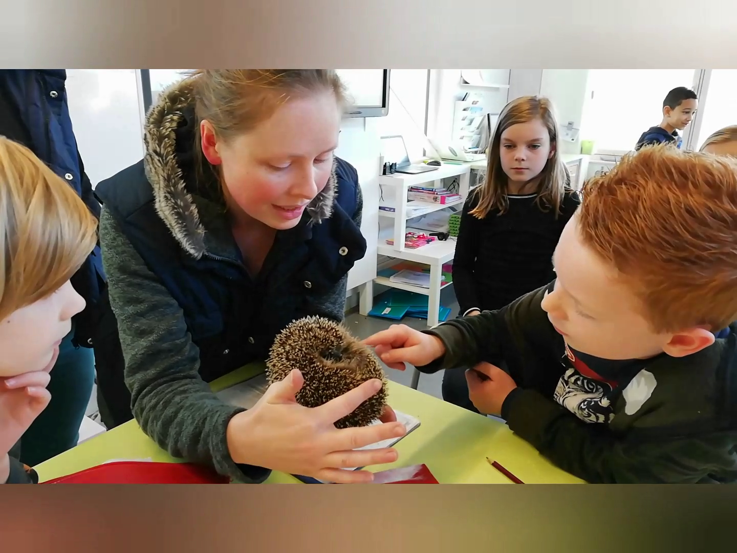 Bedankt! (namens De Bonte Piet) 