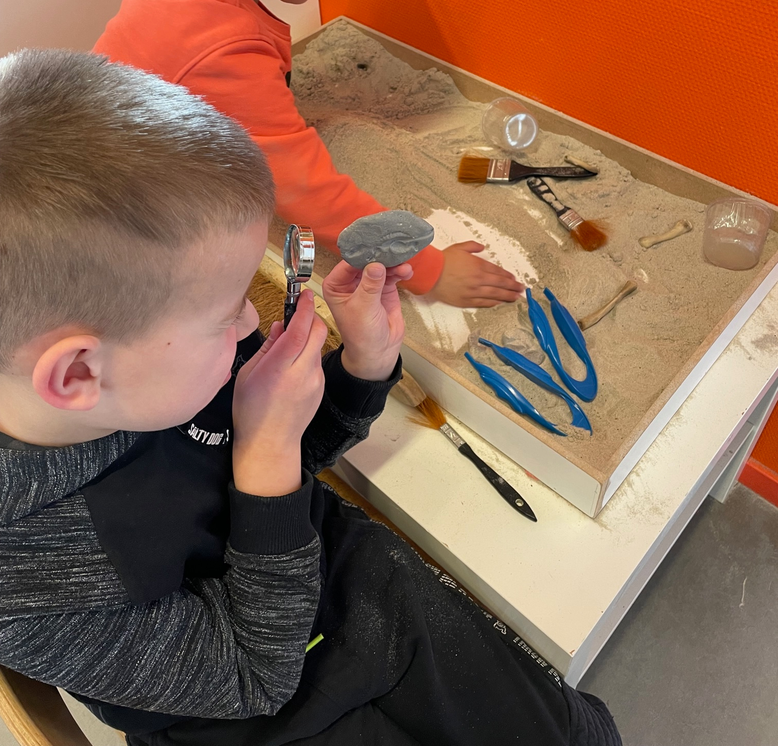 Dinosaurussen in groep 1-2