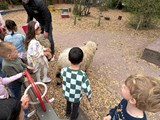 IMG_9796